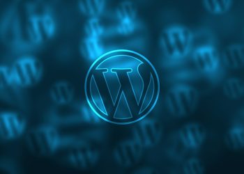 7 WordPress Security Attacks You Must Know